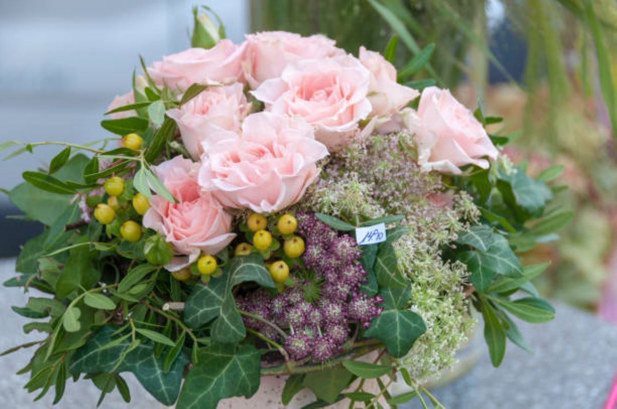 mosman flowers