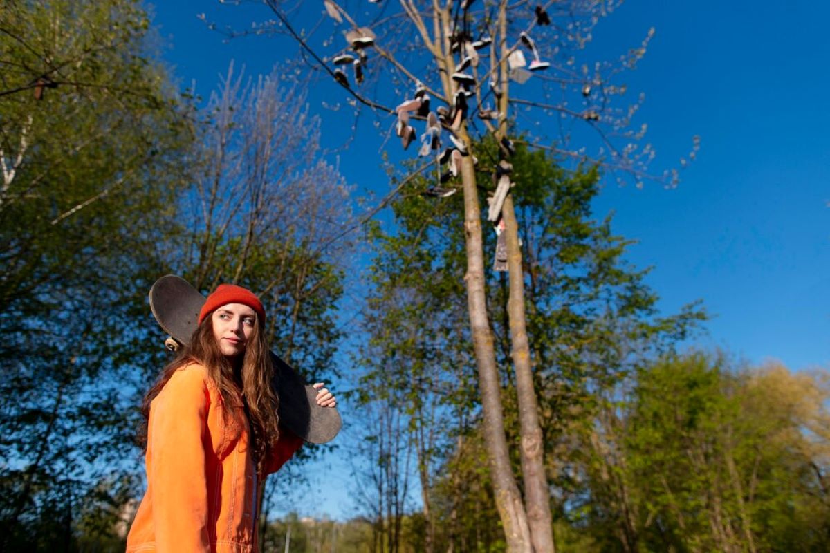 Arborist Chatswood